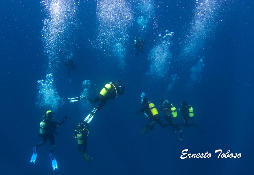 gestion-patrimonio-1