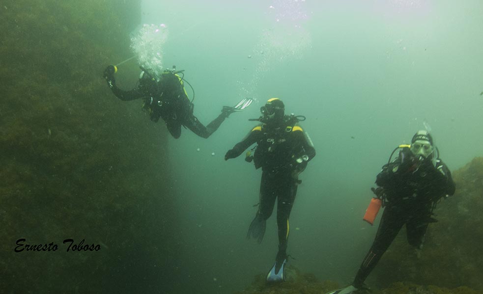 gestion-patrimonio-3